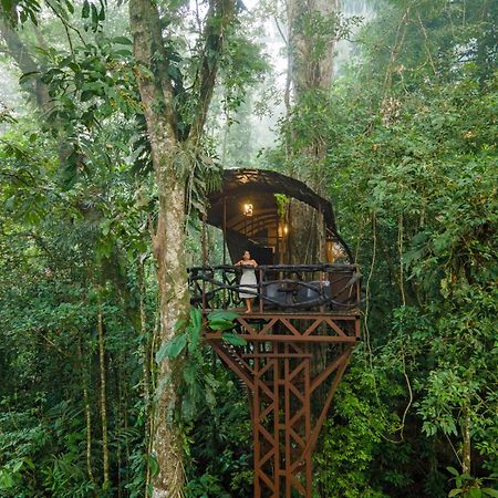 Maquenque Ecolodge Boca Tapada エクステリア 写真
