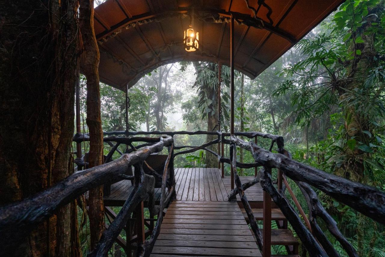 Maquenque Ecolodge Boca Tapada エクステリア 写真