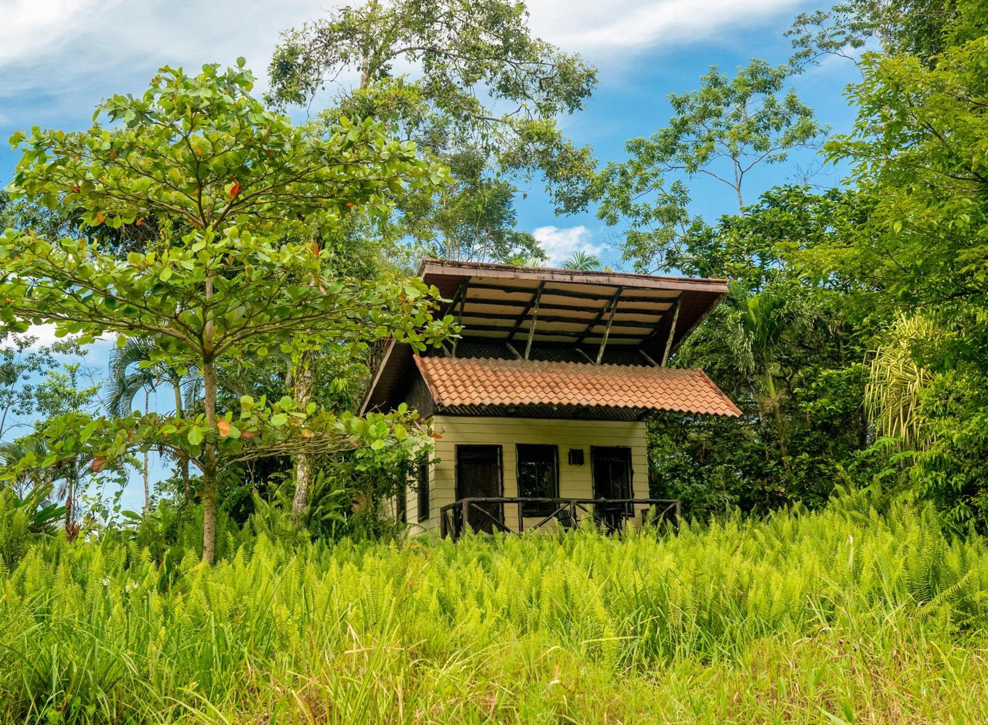 Maquenque Ecolodge Boca Tapada エクステリア 写真
