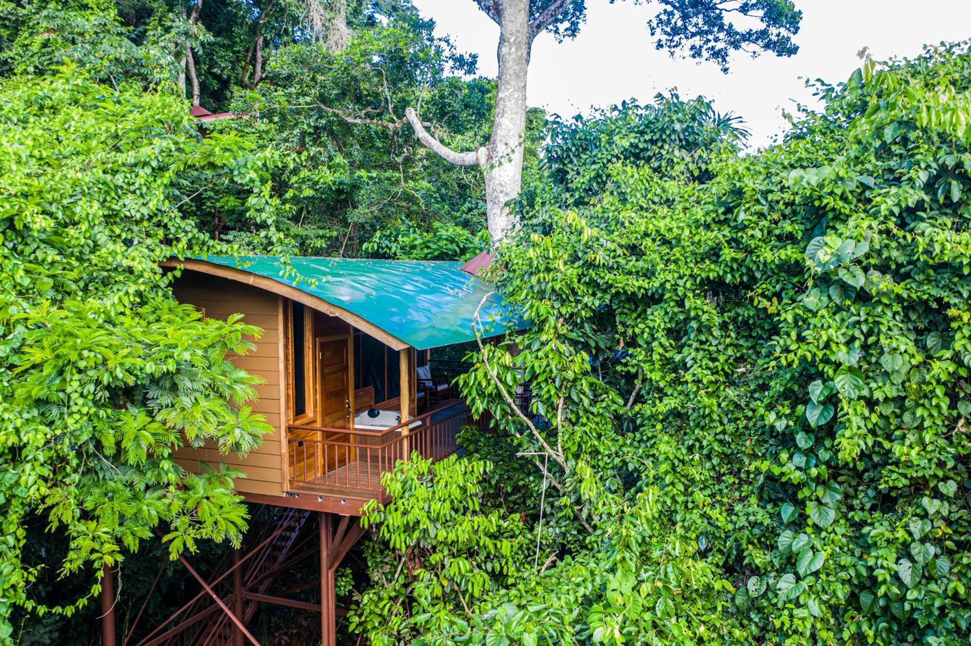 Maquenque Ecolodge Boca Tapada エクステリア 写真
