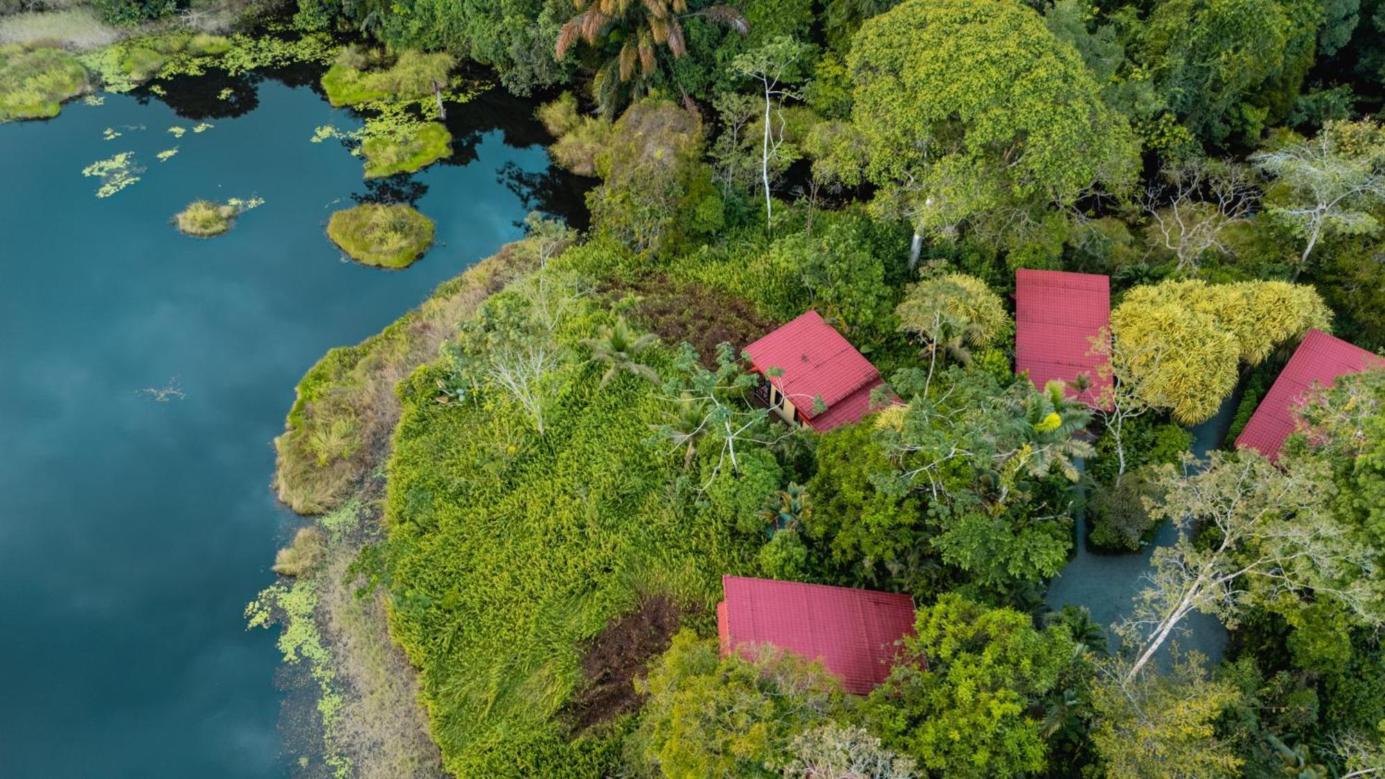 Maquenque Ecolodge Boca Tapada エクステリア 写真