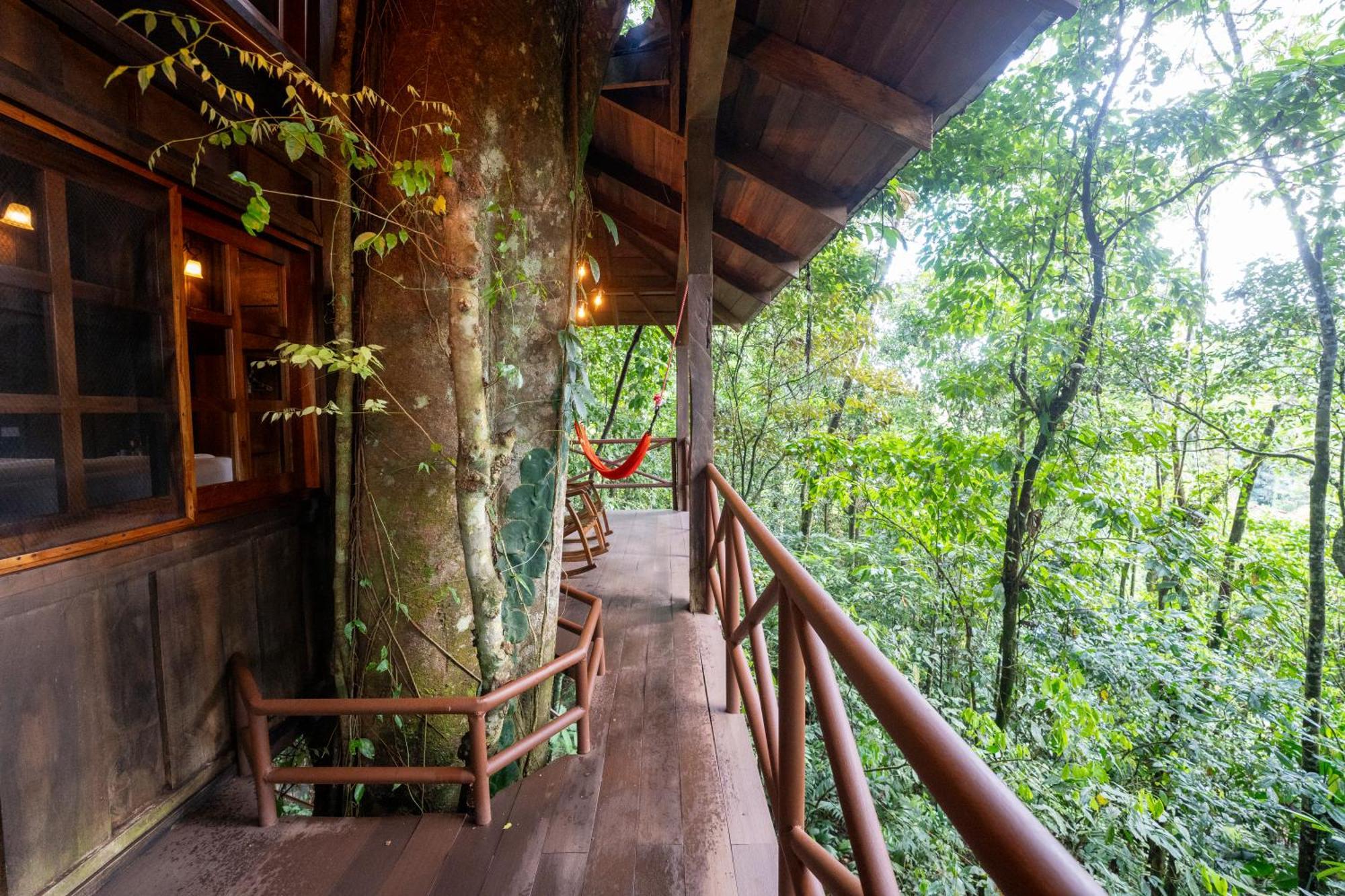 Maquenque Ecolodge Boca Tapada エクステリア 写真