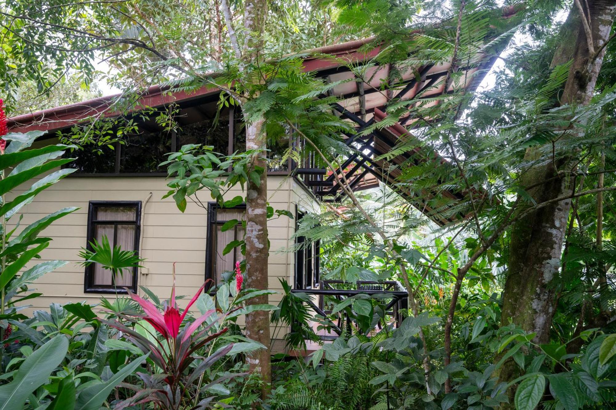 Maquenque Ecolodge Boca Tapada エクステリア 写真