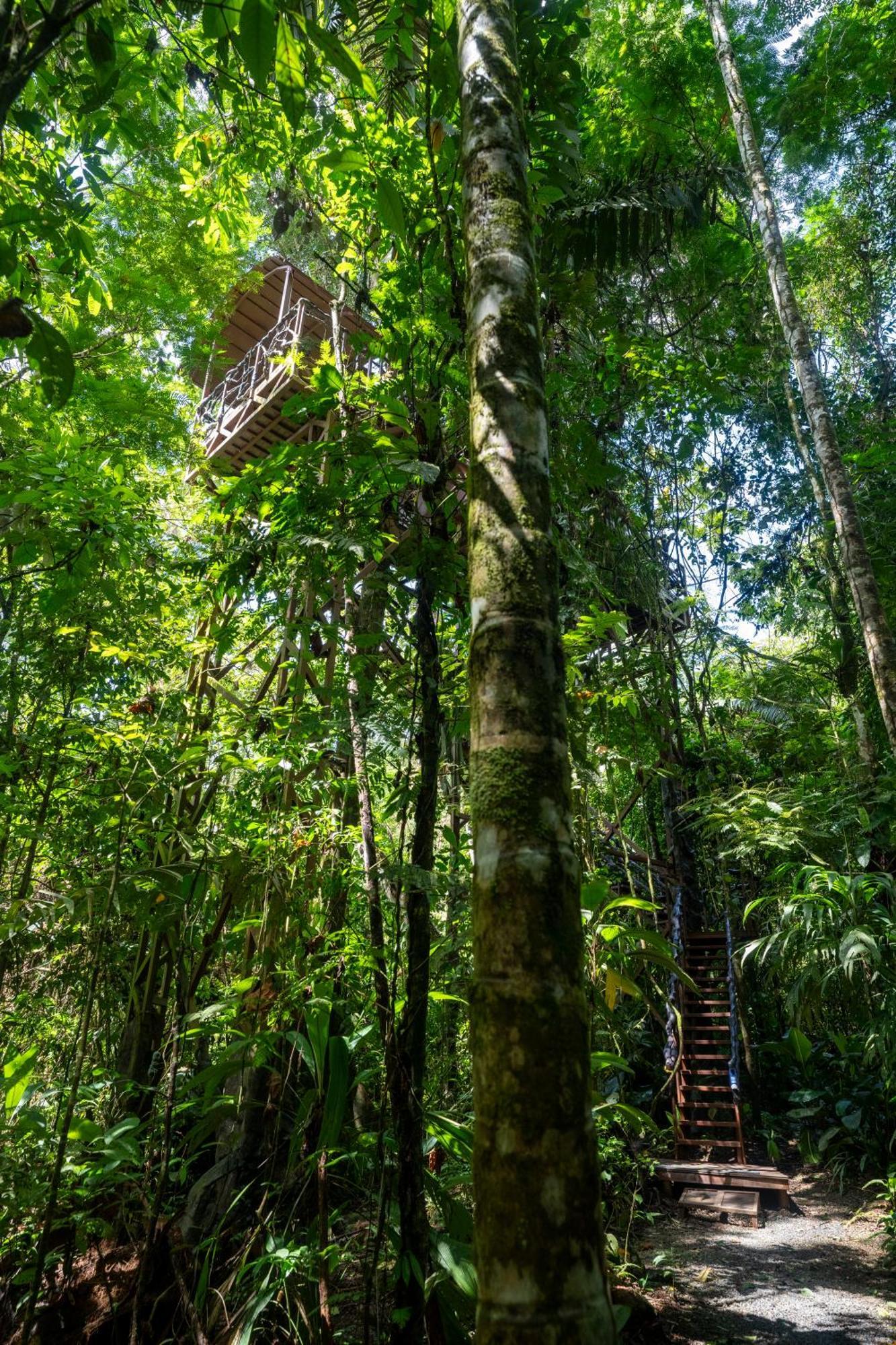 Maquenque Ecolodge Boca Tapada エクステリア 写真